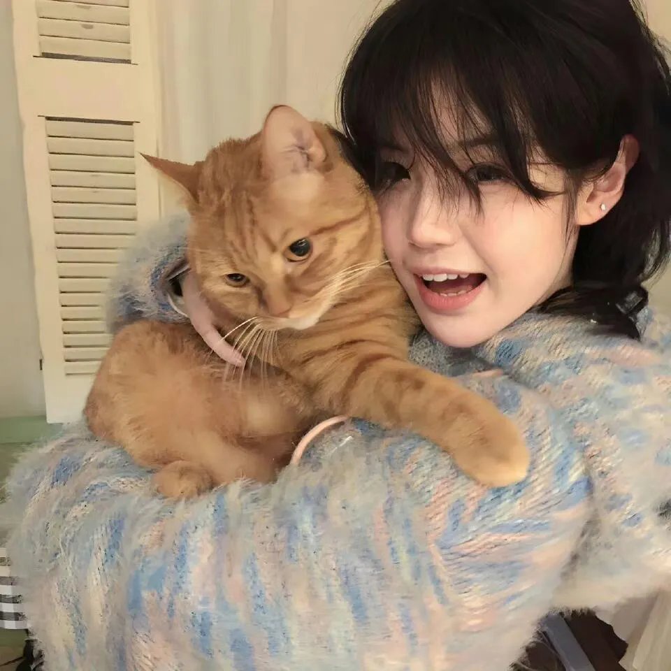 道格与蓝猫